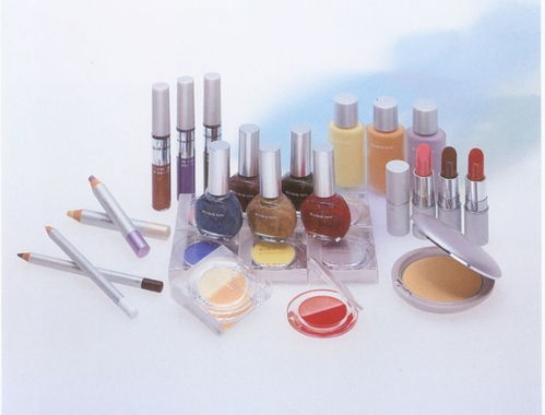 从美妆到劳保 细分市场的网络营销策略探析